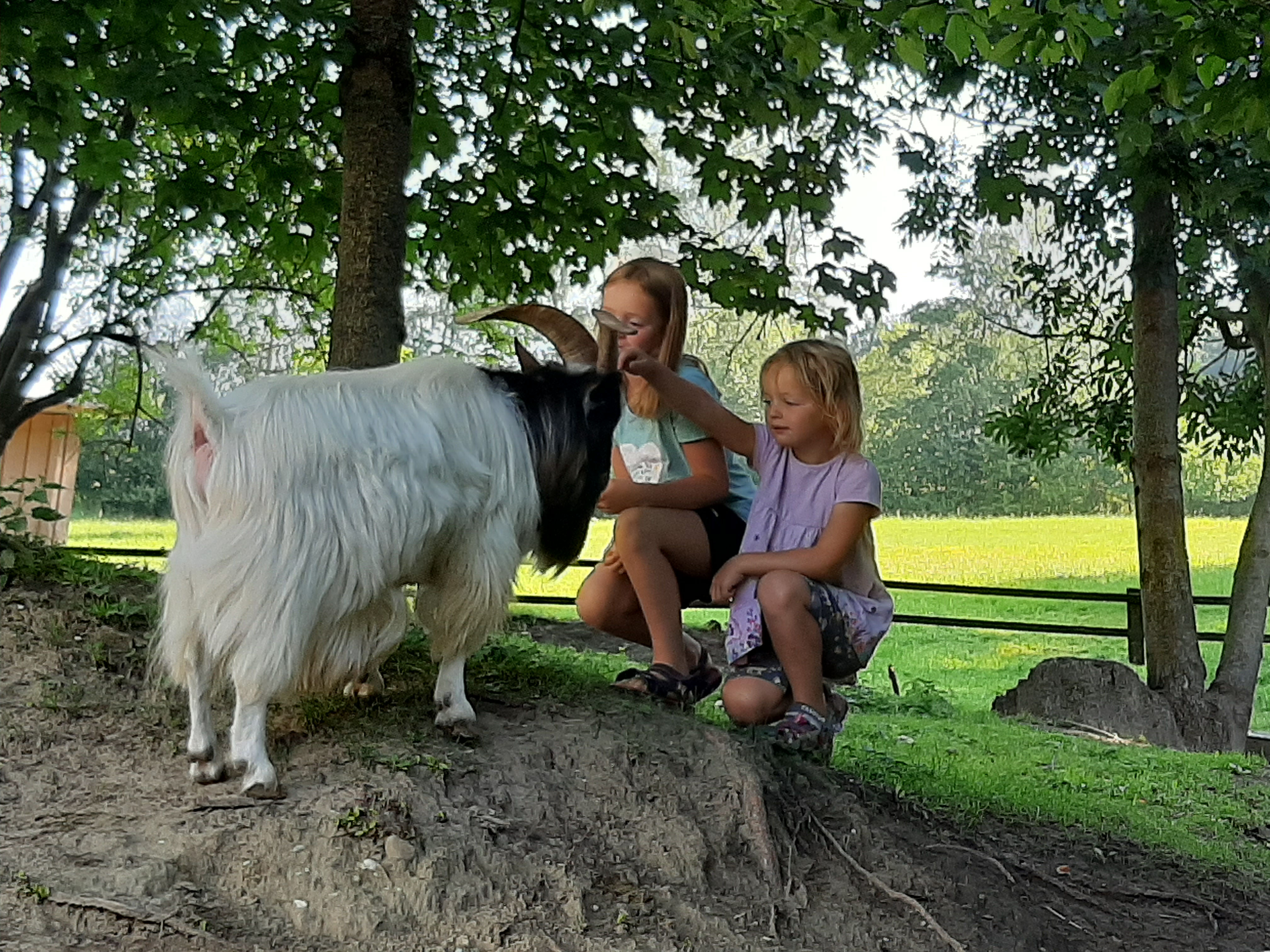 Schmusestunde mit Glückspilz