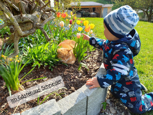 Mensch und Natur im Einklang