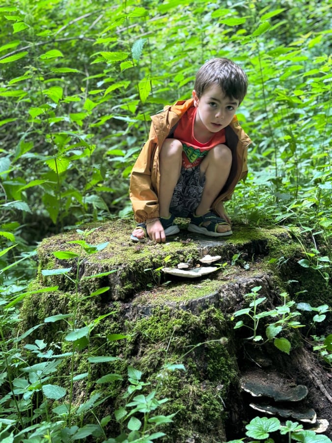 Entdeckungstour im Wald